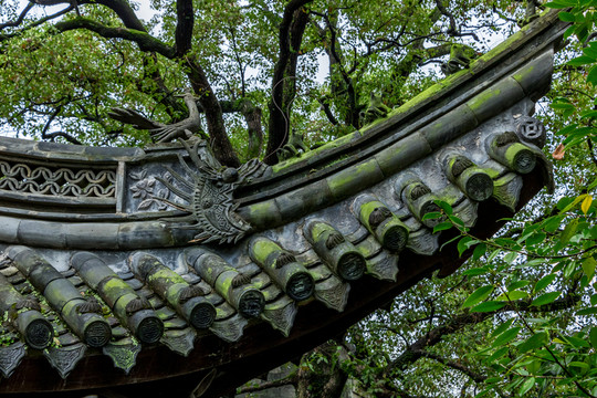 江南屋檐