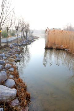 自然駁岸