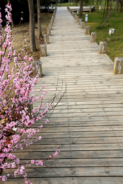 木棧道