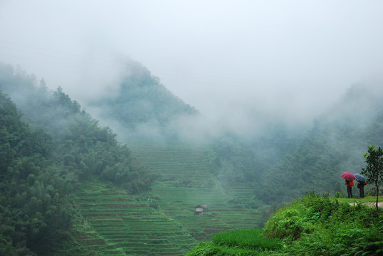 霧色山景