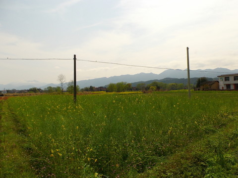 鄉(xiāng)村風(fēng)景