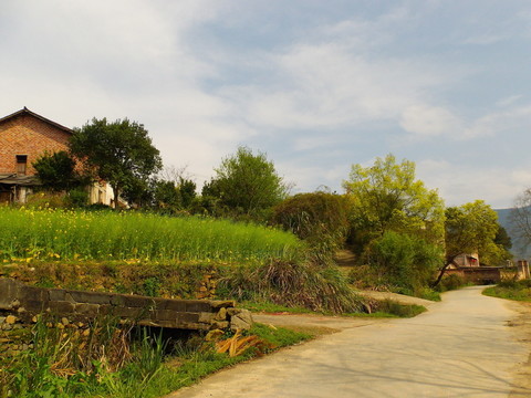 鄉(xiāng)村風(fēng)景
