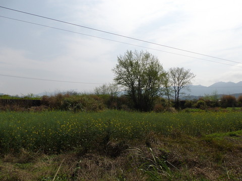 鄉(xiāng)村風(fēng)景