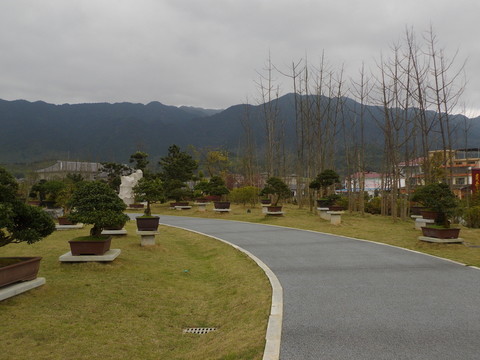 盆景園小道