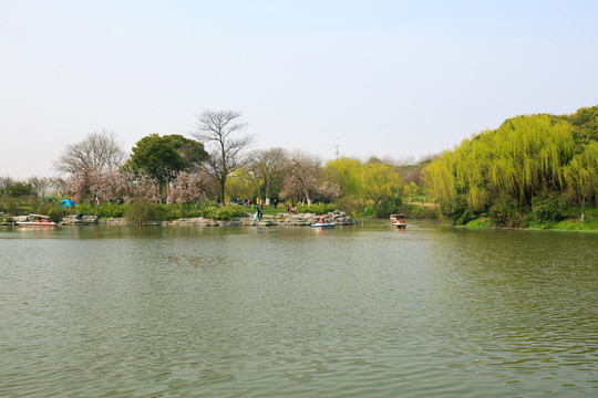 公園濕地