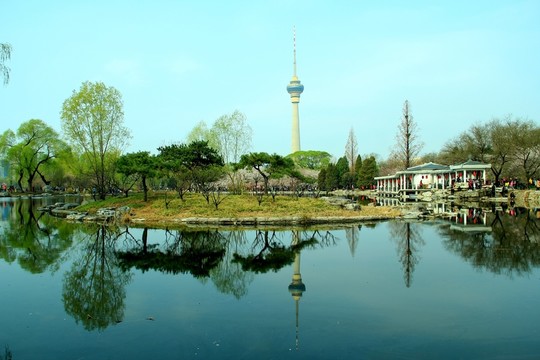 湖水柳岸
