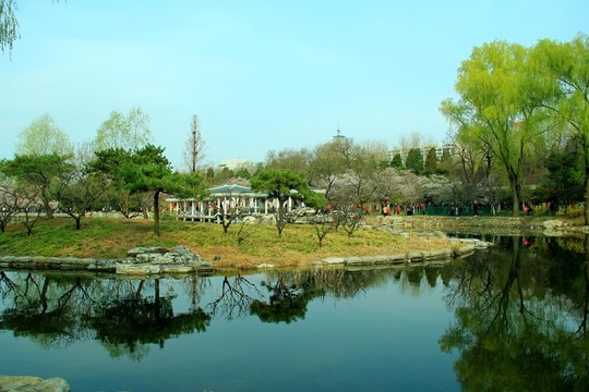 湖水柳岸