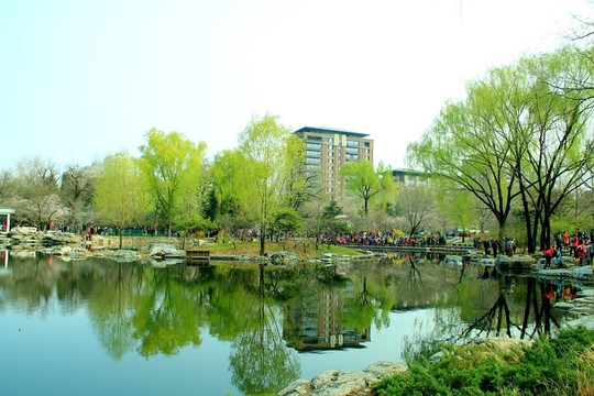 湖水柳岸