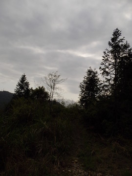 山中小路
