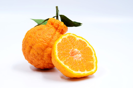 丑柑 丑八怪