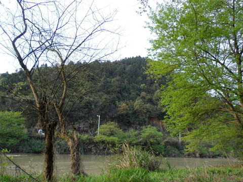江邊早春