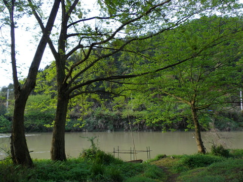 江邊春色