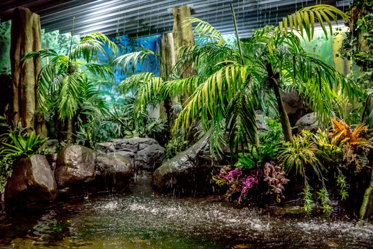 水族館場景 生態(tài)系統(tǒng)模擬