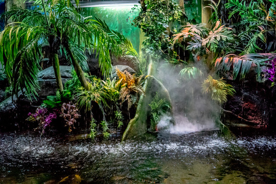水族館場景 生態(tài)系統(tǒng)模擬
