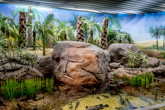水族館場景 生態(tài)系統(tǒng)模擬