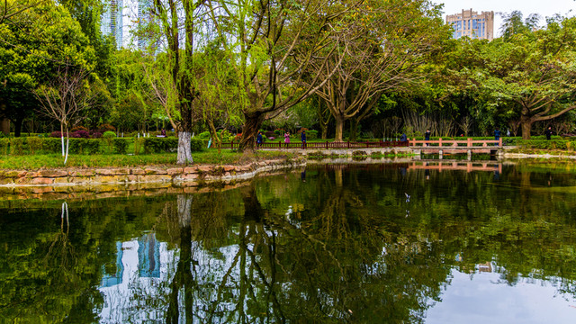 望江公園