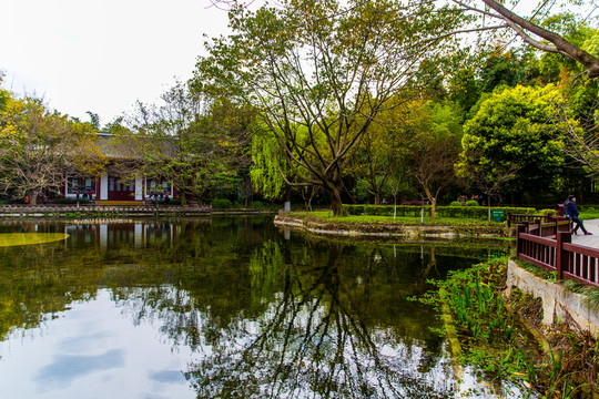 望江公園