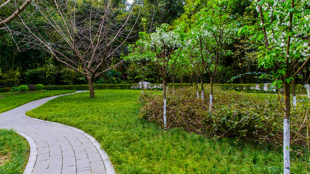 望江公園