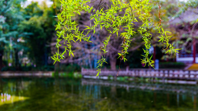 望江公園