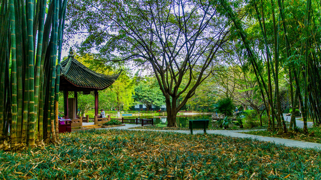 望江公園