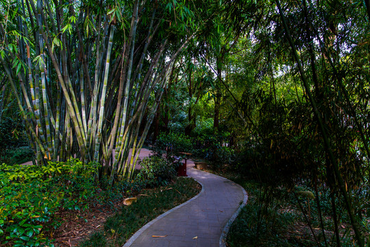 望江公園