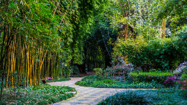 望江公園