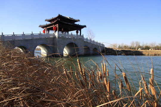 馬踏湖濕地公園