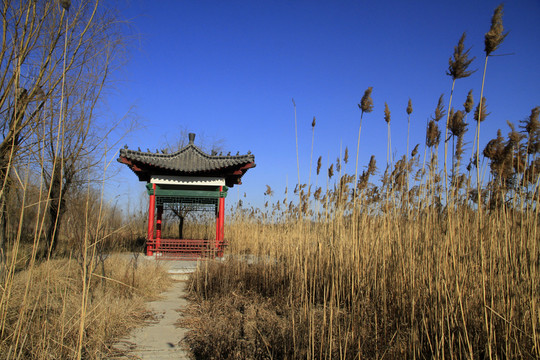 馬踏湖濕地公園
