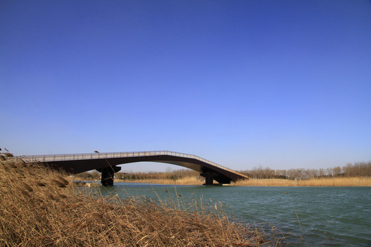 馬踏湖濕地公園
