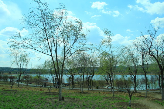 田園風(fēng)光