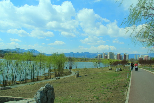 郊野公園