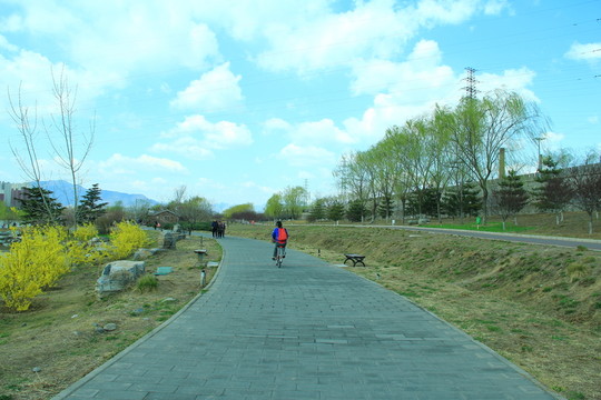 公園道路