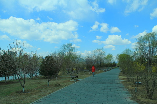 郊野公園