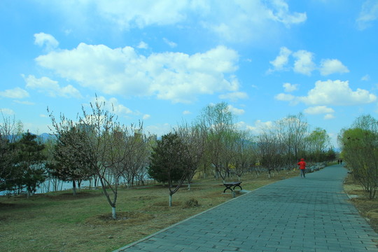 郊外