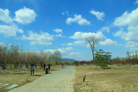 公園小路