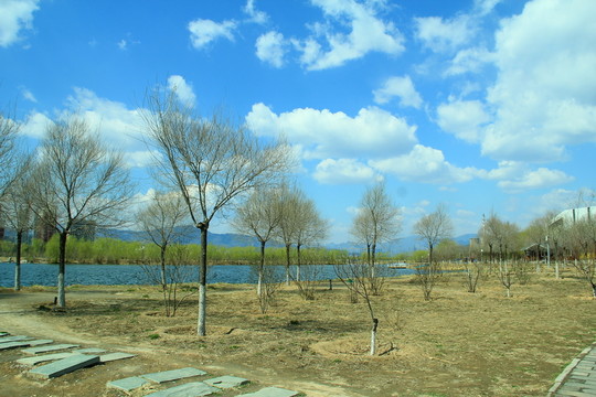 郊野公園