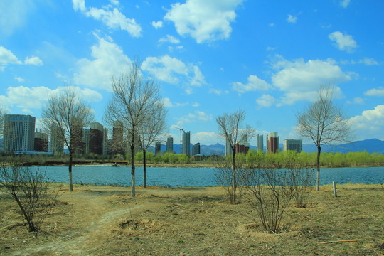 郊野公園