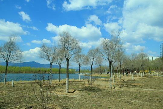 郊野公園