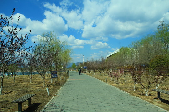 公園小路