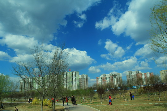 春游
