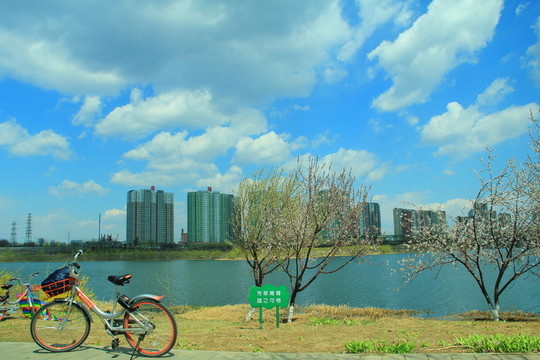 踏青騎行