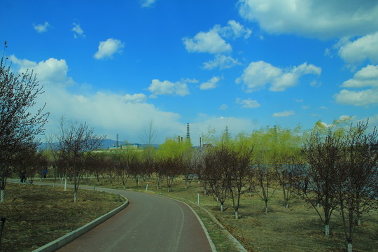 郊野風(fēng)光