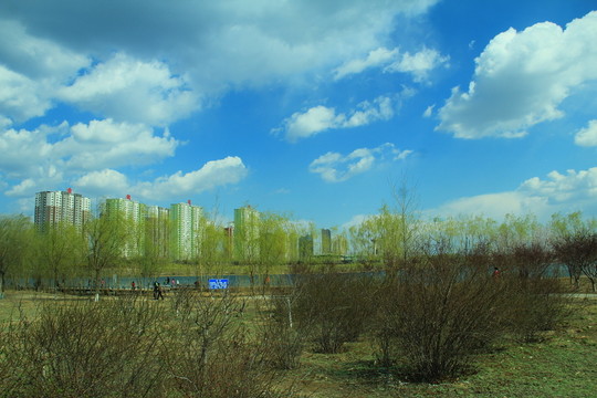 春天郊野