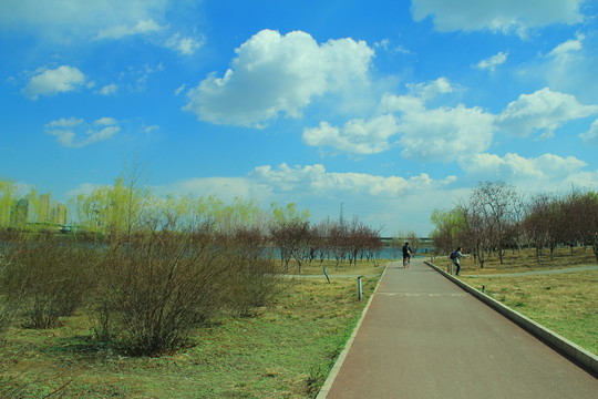 郊野風(fēng)光