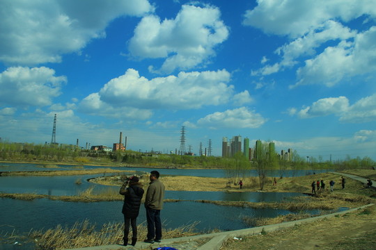 湖邊春游