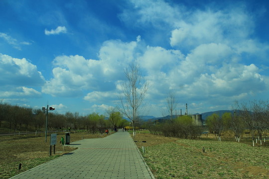 公園道路
