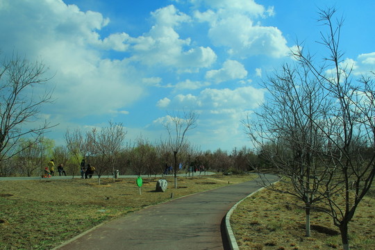 公園道路