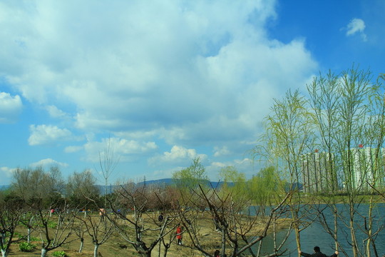 湖邊春游