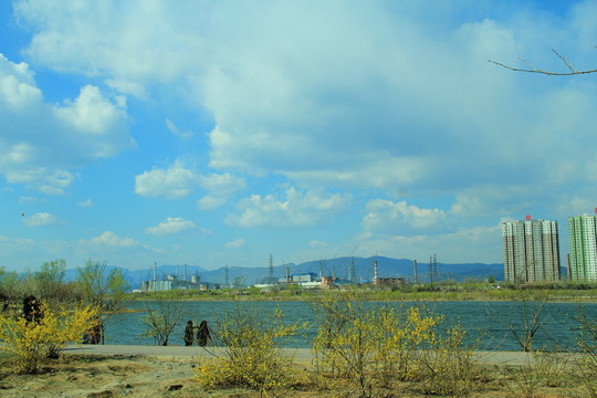 湖邊春游