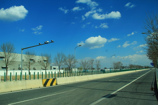 園博大道
